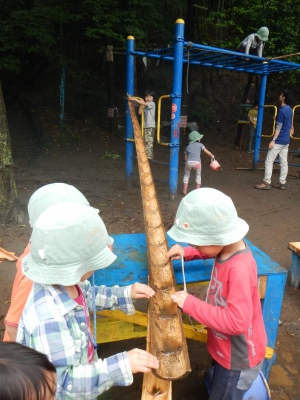DSCN6697.JPG
