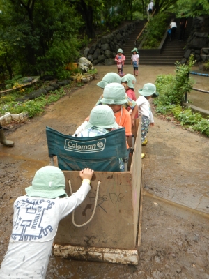 DSCN6705.JPG