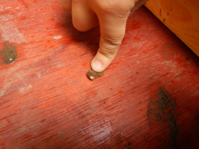 DSCN6732.JPG