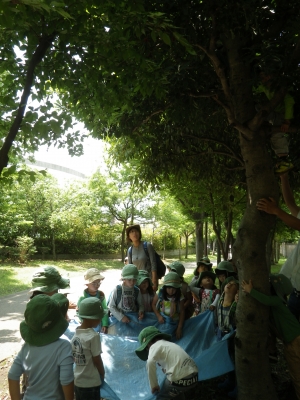IMGP6716.JPG