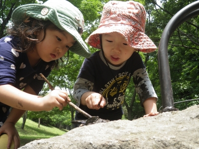 IMGP9291.JPG