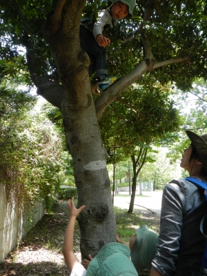 DSCN7002.JPG