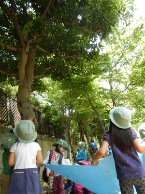 DSCN7019.JPG