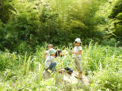 DSCN7118.JPG