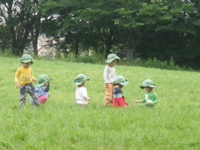 IMGP9433.JPG