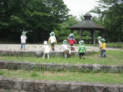 IMGP9451.JPG
