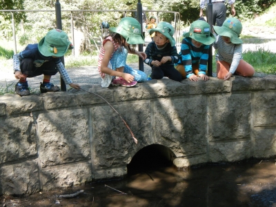 DSCN8429.JPG