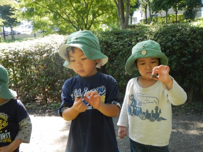 DSCN8443.JPG