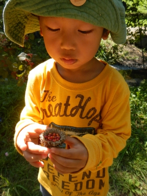 DSCN8459.JPG