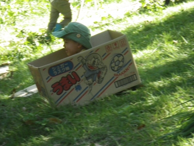 IMGP2221.JPG