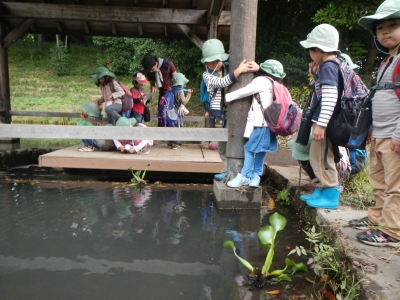DSCN8936.JPG