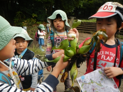 DSCN8938.JPG