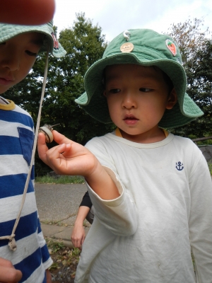 DSCN8977.JPG