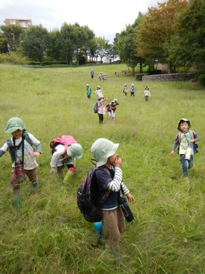 DSCN8993.JPG