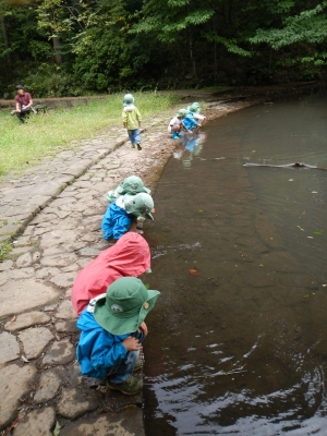 DSCN9030.JPG