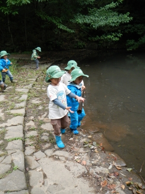 DSCN9031.JPG