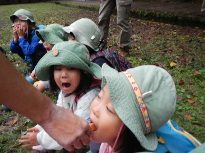 DSCN9043.JPG