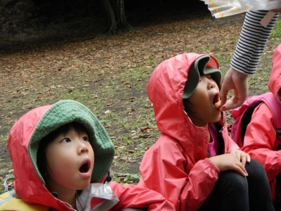 DSCN9052.JPG