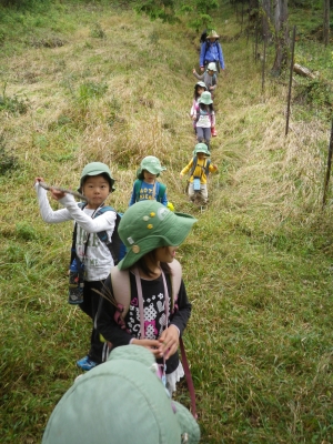IMGP9588.JPG