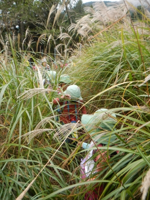 DSCN9593.JPG