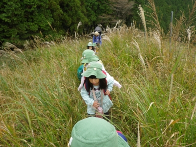 IMGP9569.JPG