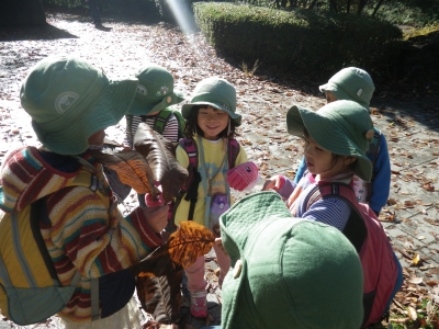 IMGP0615.JPG