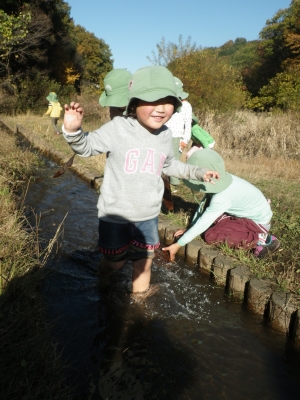 IMGP0673.JPG