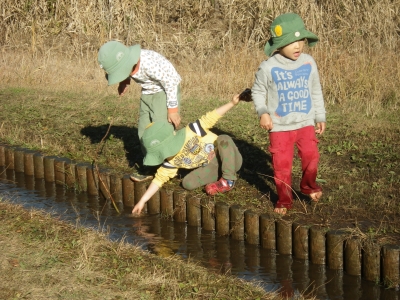 IMGP0692.JPG