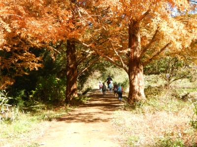 DSCN8755.JPG