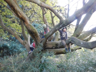 DSCN8776.JPG