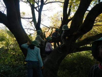 DSCN8781.JPG
