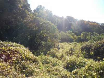DSCN8803.JPG
