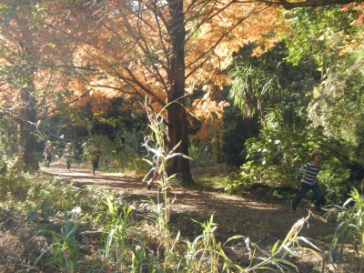 DSCN8807.JPG