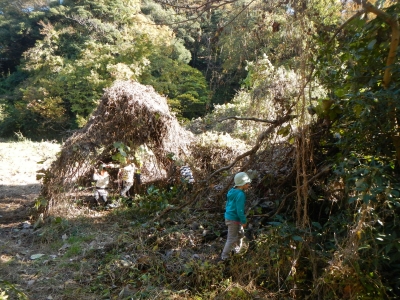 DSCN8822.JPG