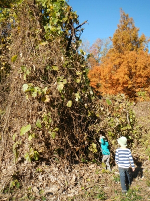 DSCN8823.JPG