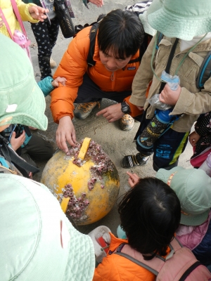DSCN0245.JPG