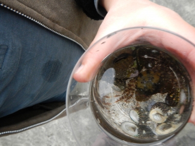 DSCN0300.JPG
