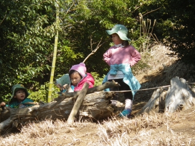 IMGP6619.JPG