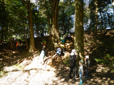 DSCN8417.JPG