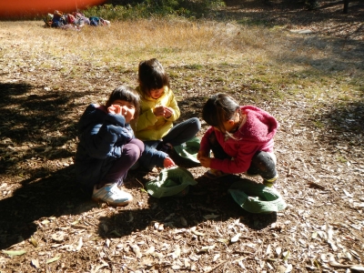 DSCN8420.JPG