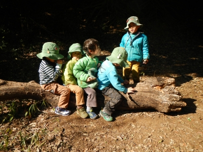 DSCN8441.JPG