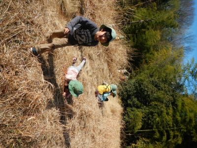 DSCN8515.JPG