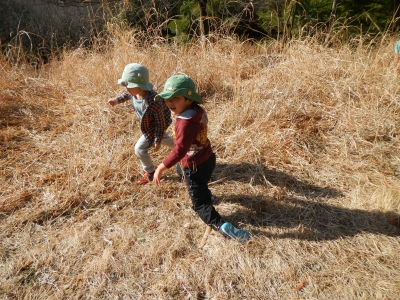 DSCN8517.JPG