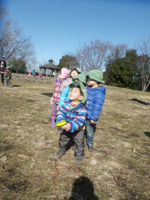 IMGP6767.JPG