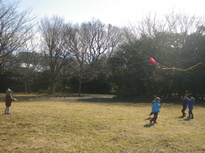 IMGP6778.JPG