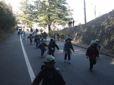 IMGP6790.JPG