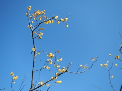 DSCN8647.JPG