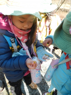 DSCN8648.JPG
