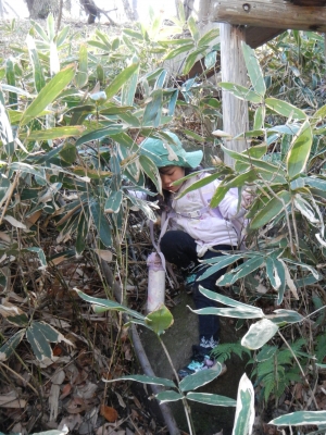 DSCN8656.JPG
