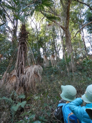 DSCN8666.JPG